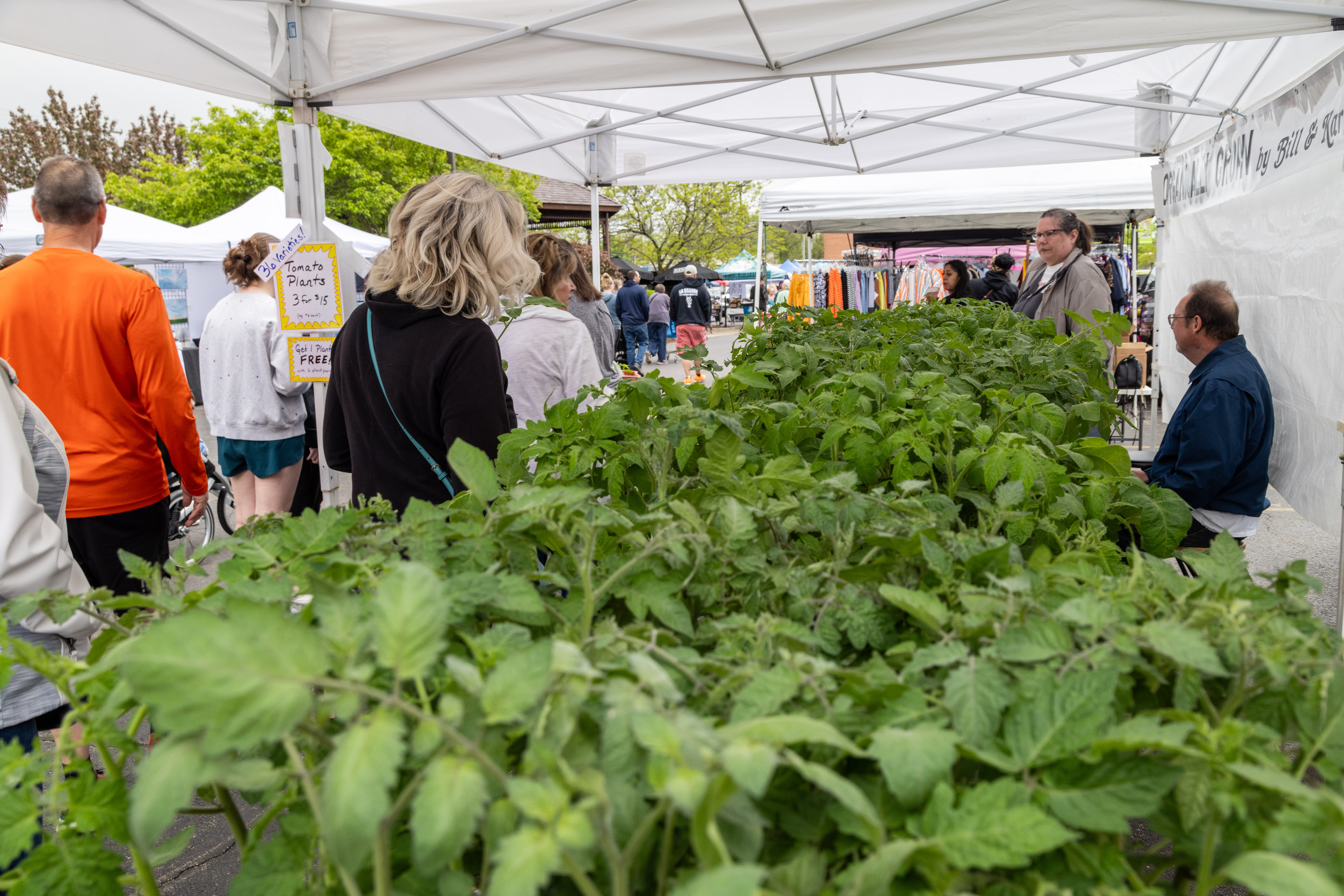 kankakee farmers market may